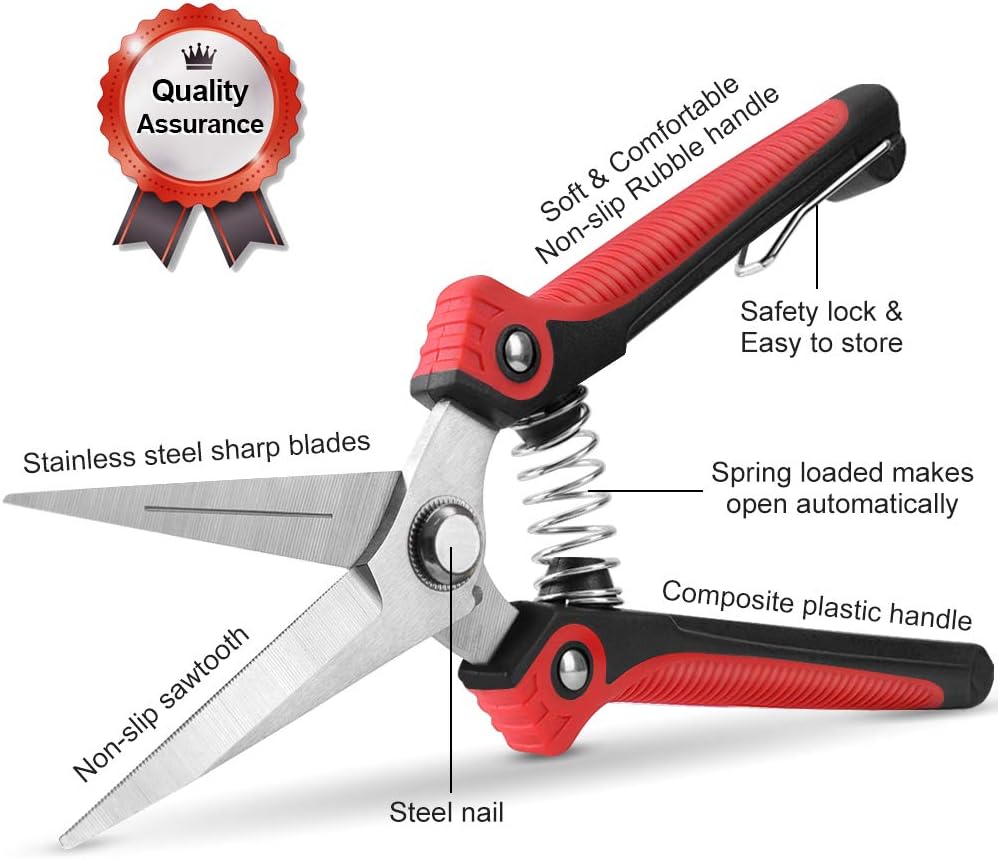 Pruning Scissors, Professional Garden Shears - Straight Stainless Steel Blades - Sharp Gardening Hand Pruner for Garden Harvesting Fruits, Vegetables, Trimming Flowers and Plants, 8.1IN(Red)
