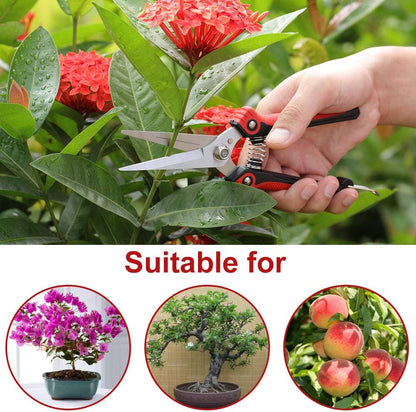 Pruning Scissors, Professional Garden Shears - Straight Stainless Steel Blades - Sharp Gardening Hand Pruner for Garden Harvesting Fruits, Vegetables, Trimming Flowers and Plants, 8.1IN(Red)