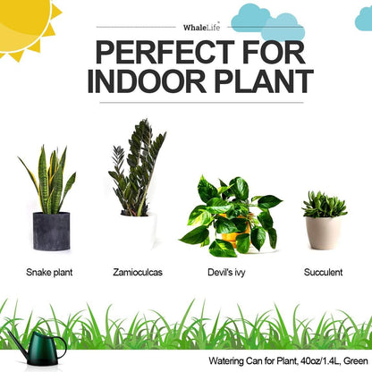 Small Indoor Plant Watering Can - 1.4L Dark Green Long Spout