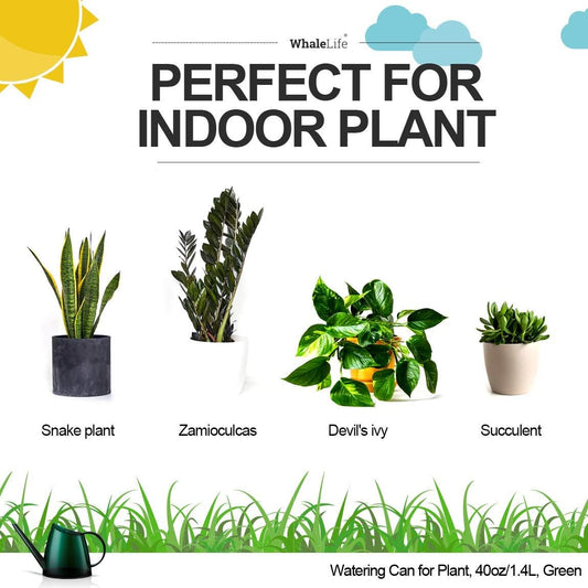 Small Indoor Plant Watering Can - 1.4L Dark Green Long Spout