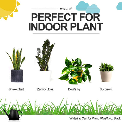 Small Indoor Plant Watering Can - 1.4L Dark Green Long Spout