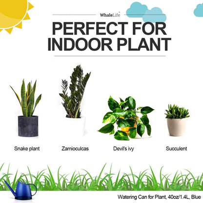 Small Indoor Plant Watering Can - 1.4L Dark Green Long Spout