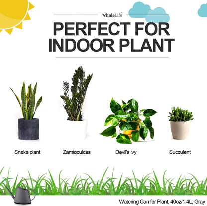 Small Indoor Plant Watering Can - 1.4L Dark Green Long Spout