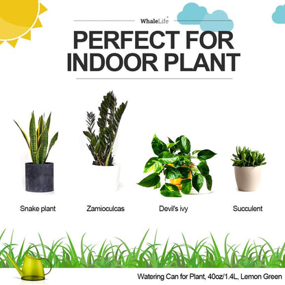 Small Indoor Plant Watering Can - 1.4L Dark Green Long Spout