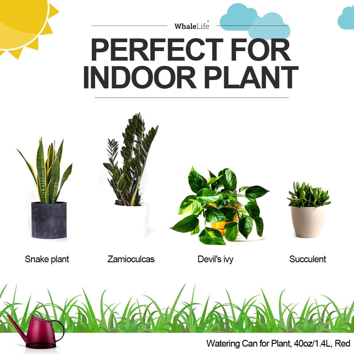 Small Indoor Plant Watering Can - 1.4L Dark Green Long Spout