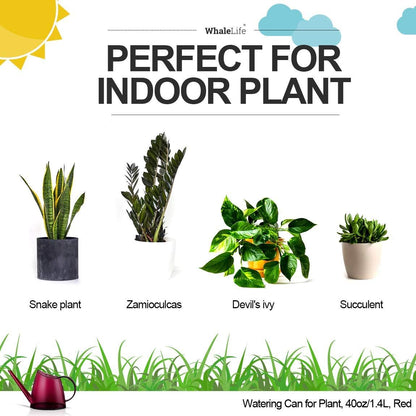 Small Indoor Plant Watering Can - 1.4L Dark Green Long Spout