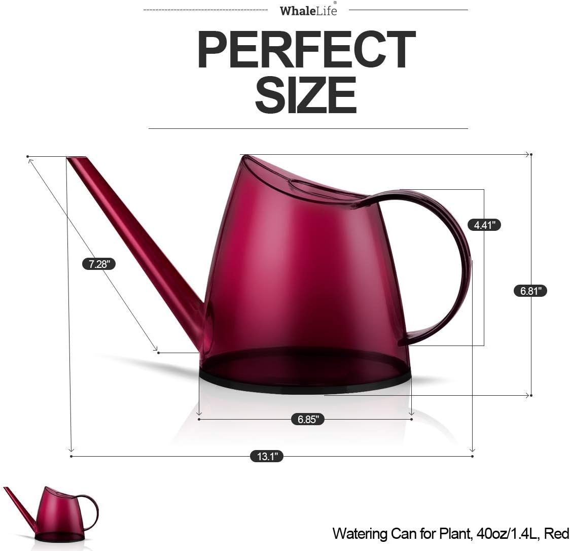 Small Indoor Plant Watering Can - 1.4L Dark Green Long Spout