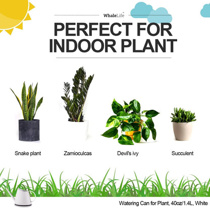 Small Indoor Plant Watering Can - 1.4L Dark Green Long Spout