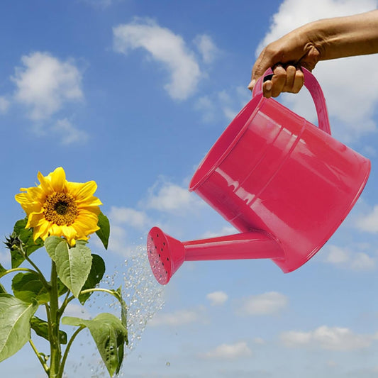 1L Garden Watering Can Metal for Flowers, Watering Can Indoor, Tinplate Watering Kettle with Long Spout & Ergonomic Handle for Indoor Outdoor Balcony Patio Irrigation Lawn Garden (Hot Pink)