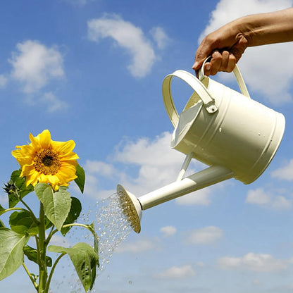 1L Garden Watering Can Metal for Flowers, Watering Can Indoor, Tinplate Watering Kettle with Long Spout & Ergonomic Handle for Indoor Outdoor Balcony Patio Irrigation Lawn Garden (Hot Pink)