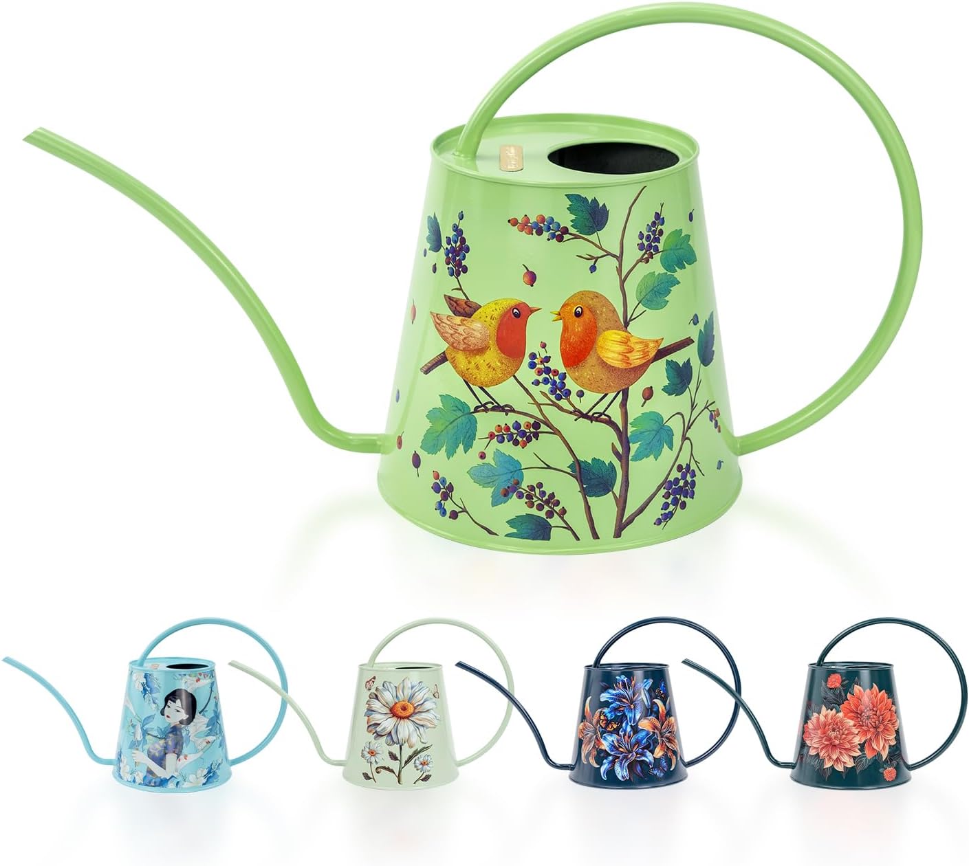 2L Long Spout Watering Can, Stainless Steel Water Can (Robin)