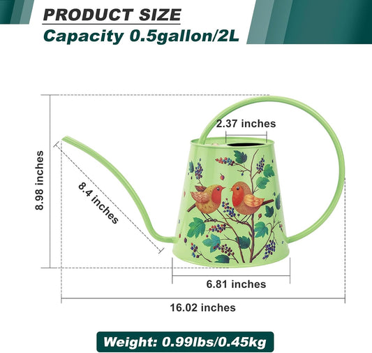 2L Long Spout Watering Can, Stainless Steel Water Can (Robin)