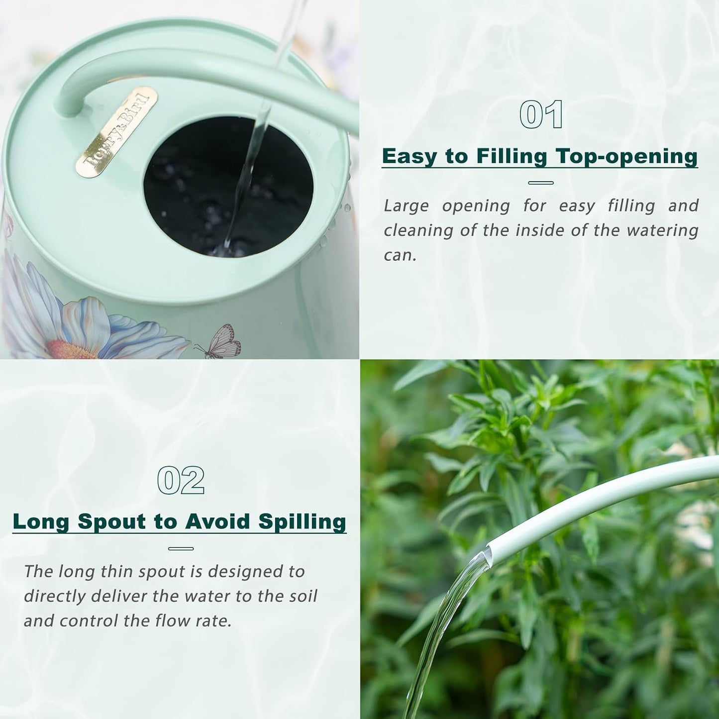 2L Long Spout Watering Can, Stainless Steel Water Can (Robin)