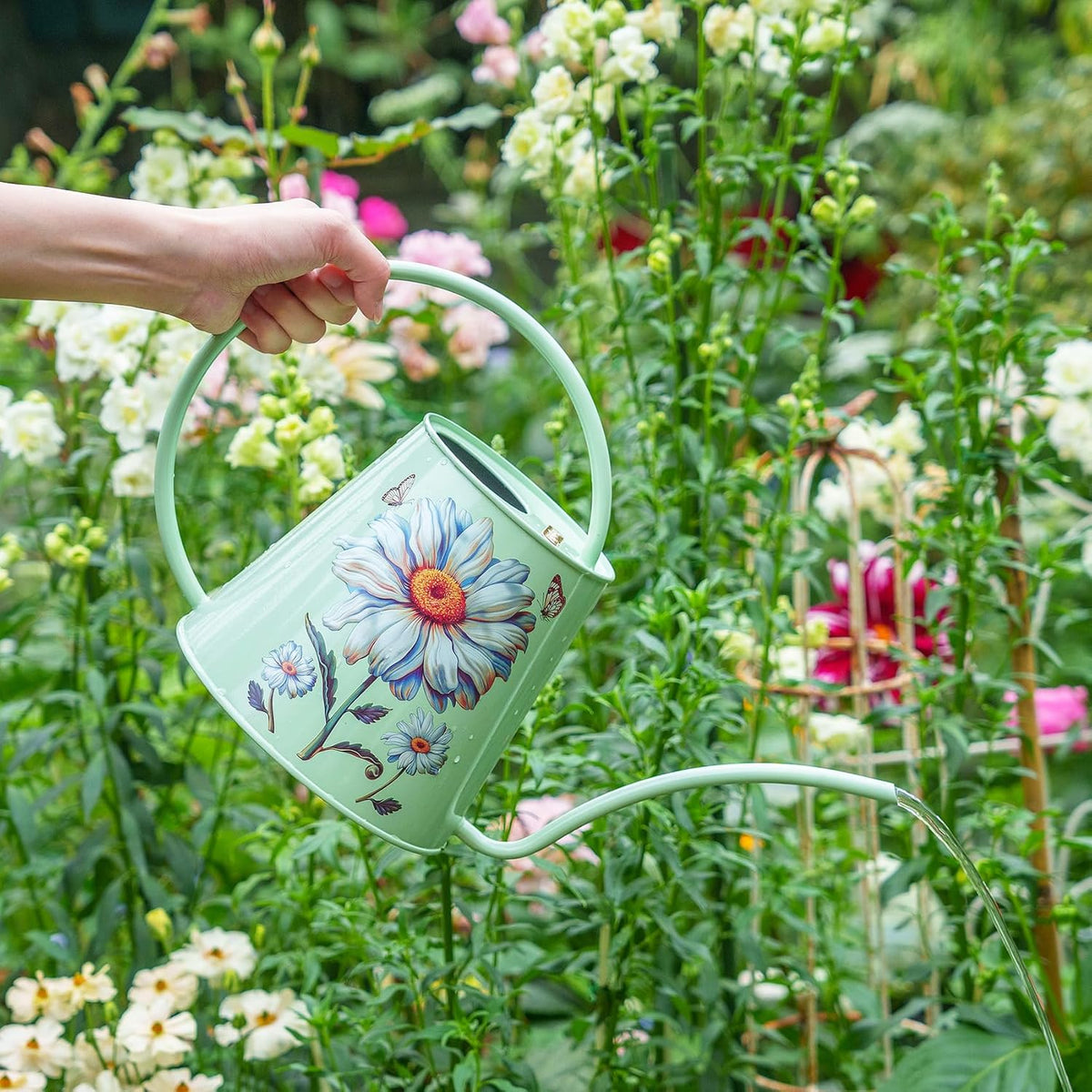 2L Long Spout Watering Can, Stainless Steel Water Can (Robin)