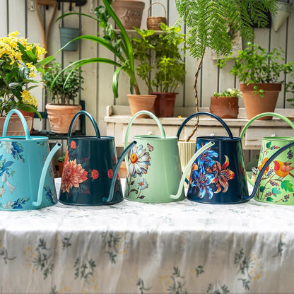 2L Long Spout Watering Can, Stainless Steel Water Can (Robin)