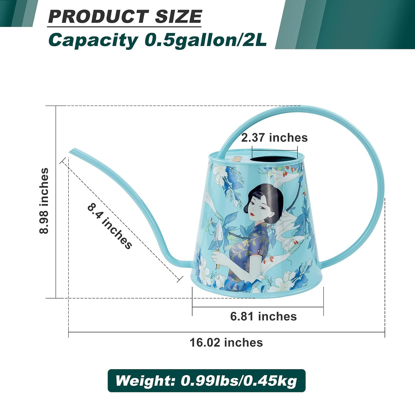 2L Long Spout Watering Can, Stainless Steel Water Can (Robin)