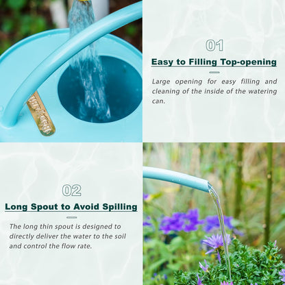 2L Long Spout Watering Can, Stainless Steel Water Can (Robin)