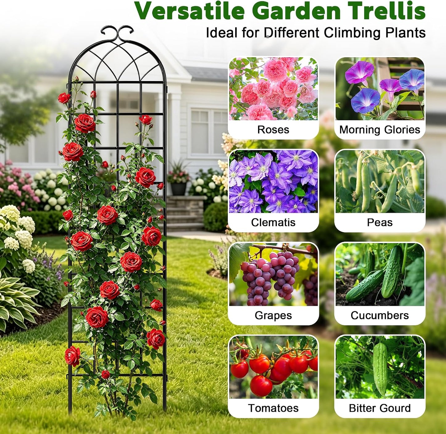 LZRS 71 x 80in Rustic Iron Arch Decoration Garden Trellis with Black Metal Coating – Perfect for Supporting Climbing Plants Outdoor, Roses, Vines, Flowers, and Vegetables.