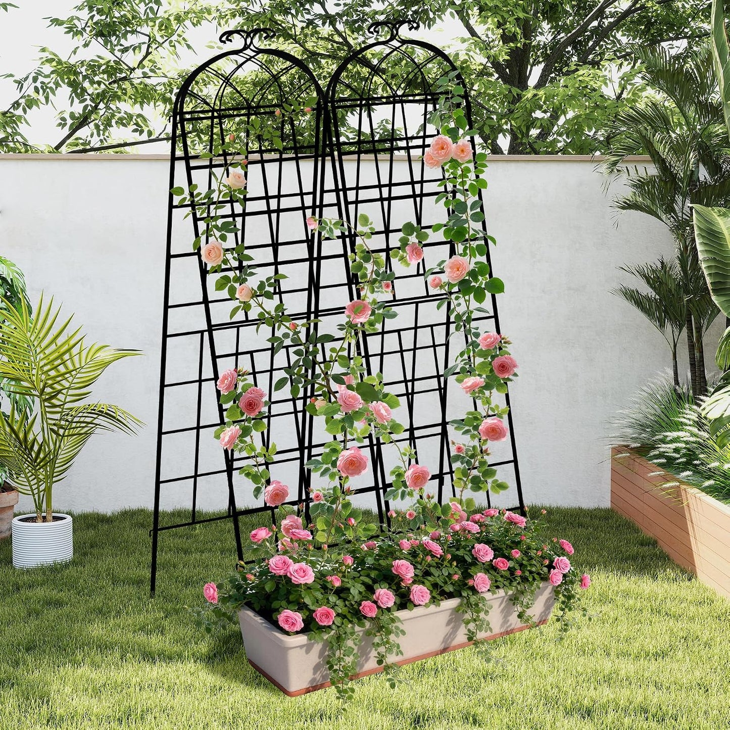 LZRS 71 x 80in Rustic Iron Arch Decoration Garden Trellis with Black Metal Coating – Perfect for Supporting Climbing Plants Outdoor, Roses, Vines, Flowers, and Vegetables.