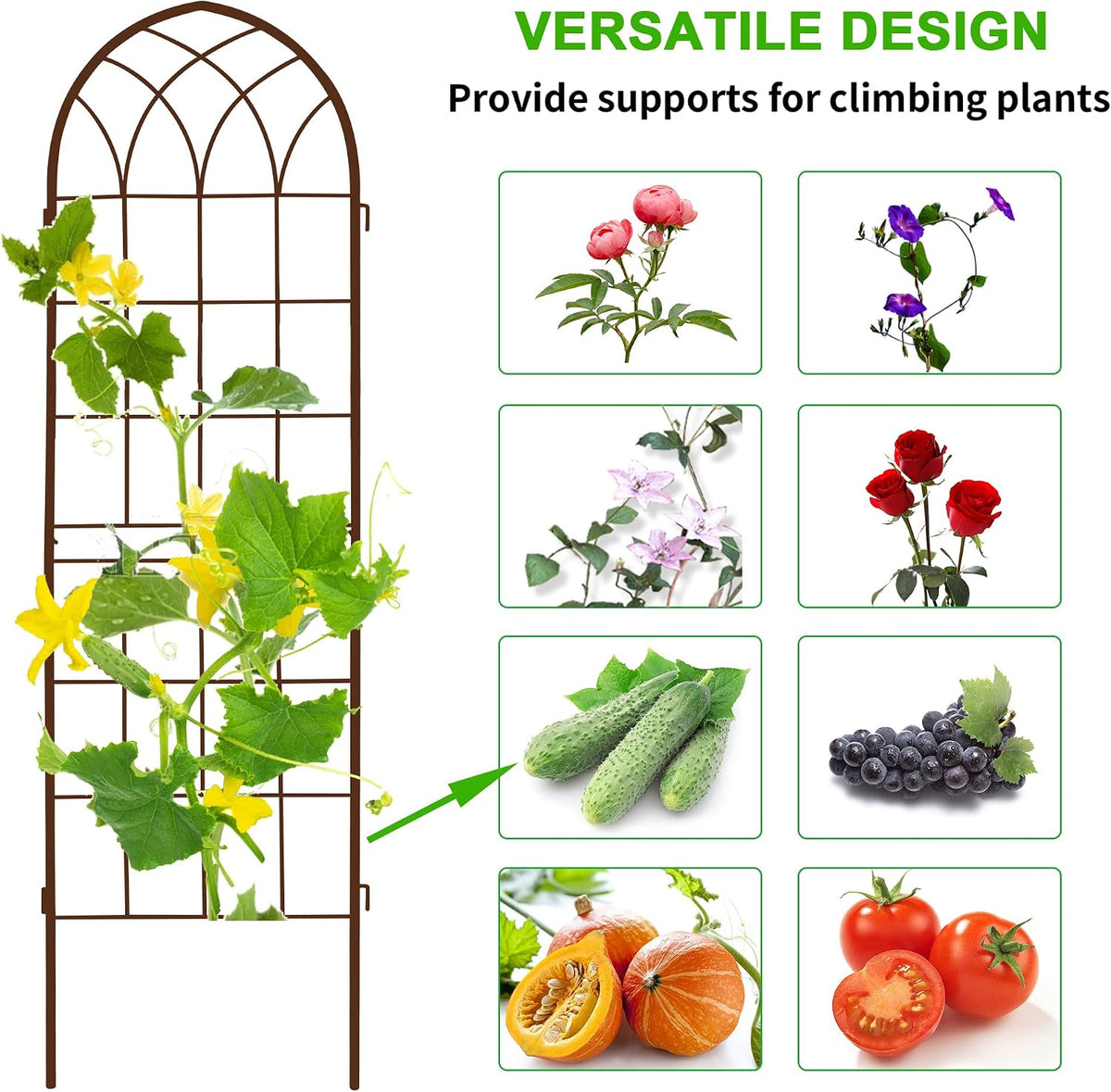 LZRS 71 x 80in Rustic Iron Arch Decoration Garden Trellis with Black Metal Coating – Perfect for Supporting Climbing Plants Outdoor, Roses, Vines, Flowers, and Vegetables.