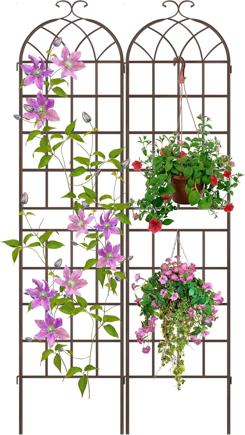 LZRS 71 x 80in Rustic Iron Arch Decoration Garden Trellis with Black Metal Coating – Perfect for Supporting Climbing Plants Outdoor, Roses, Vines, Flowers, and Vegetables.