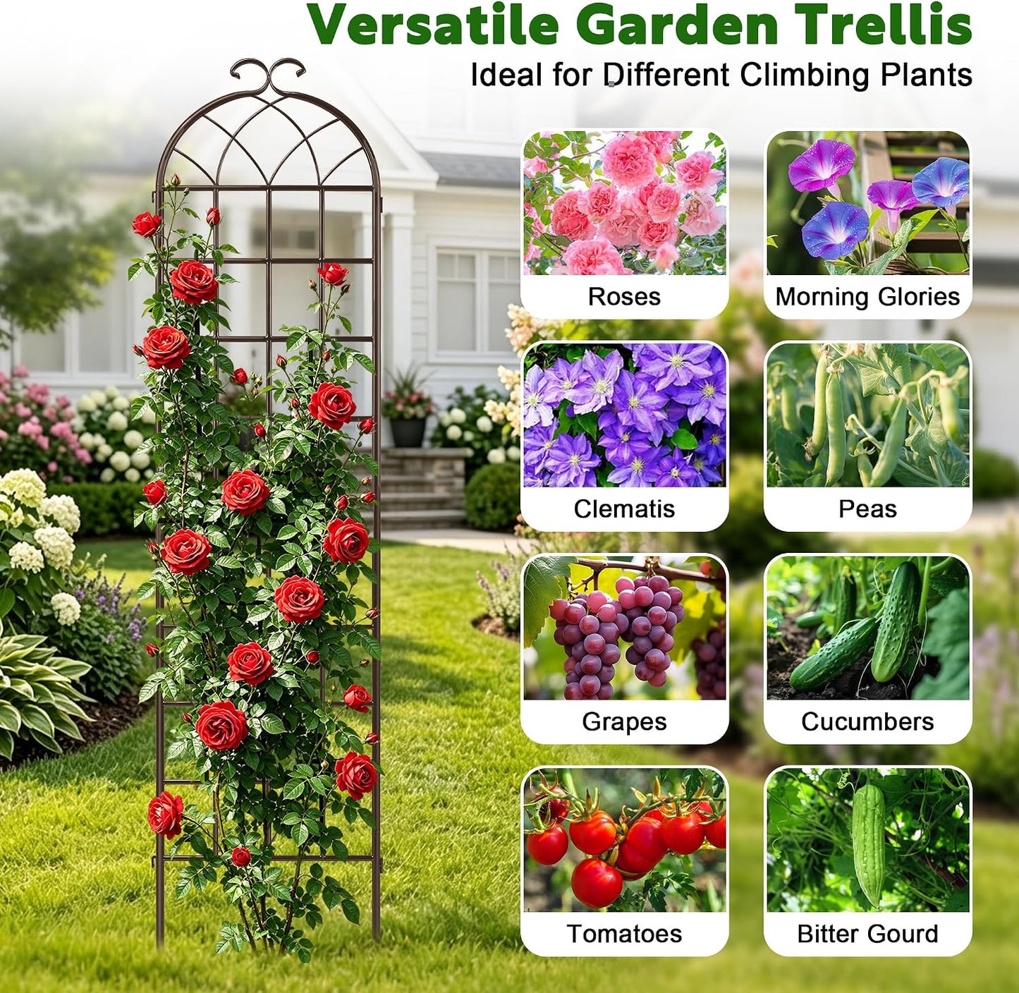 LZRS 71 x 80in Rustic Iron Arch Decoration Garden Trellis with Black Metal Coating – Perfect for Supporting Climbing Plants Outdoor, Roses, Vines, Flowers, and Vegetables.