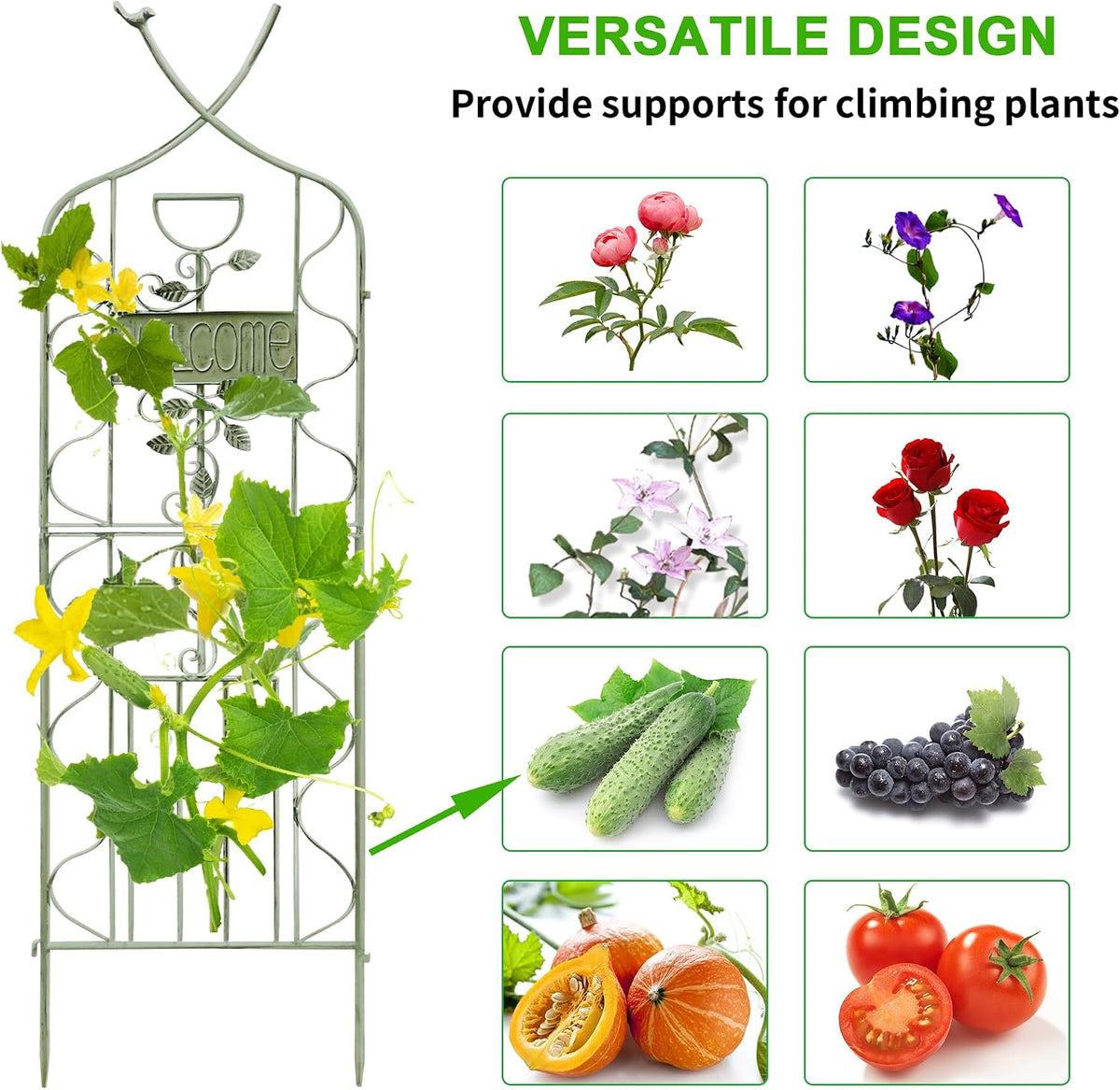 LZRS 71 x 80in Rustic Iron Arch Decoration Garden Trellis with Black Metal Coating – Perfect for Supporting Climbing Plants Outdoor, Roses, Vines, Flowers, and Vegetables.