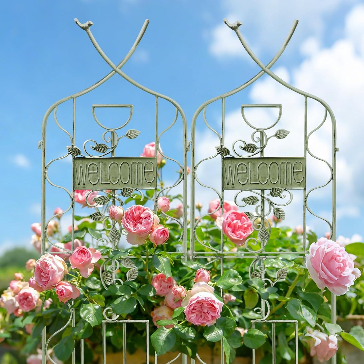 LZRS 71 x 80in Rustic Iron Arch Decoration Garden Trellis with Black Metal Coating – Perfect for Supporting Climbing Plants Outdoor, Roses, Vines, Flowers, and Vegetables.
