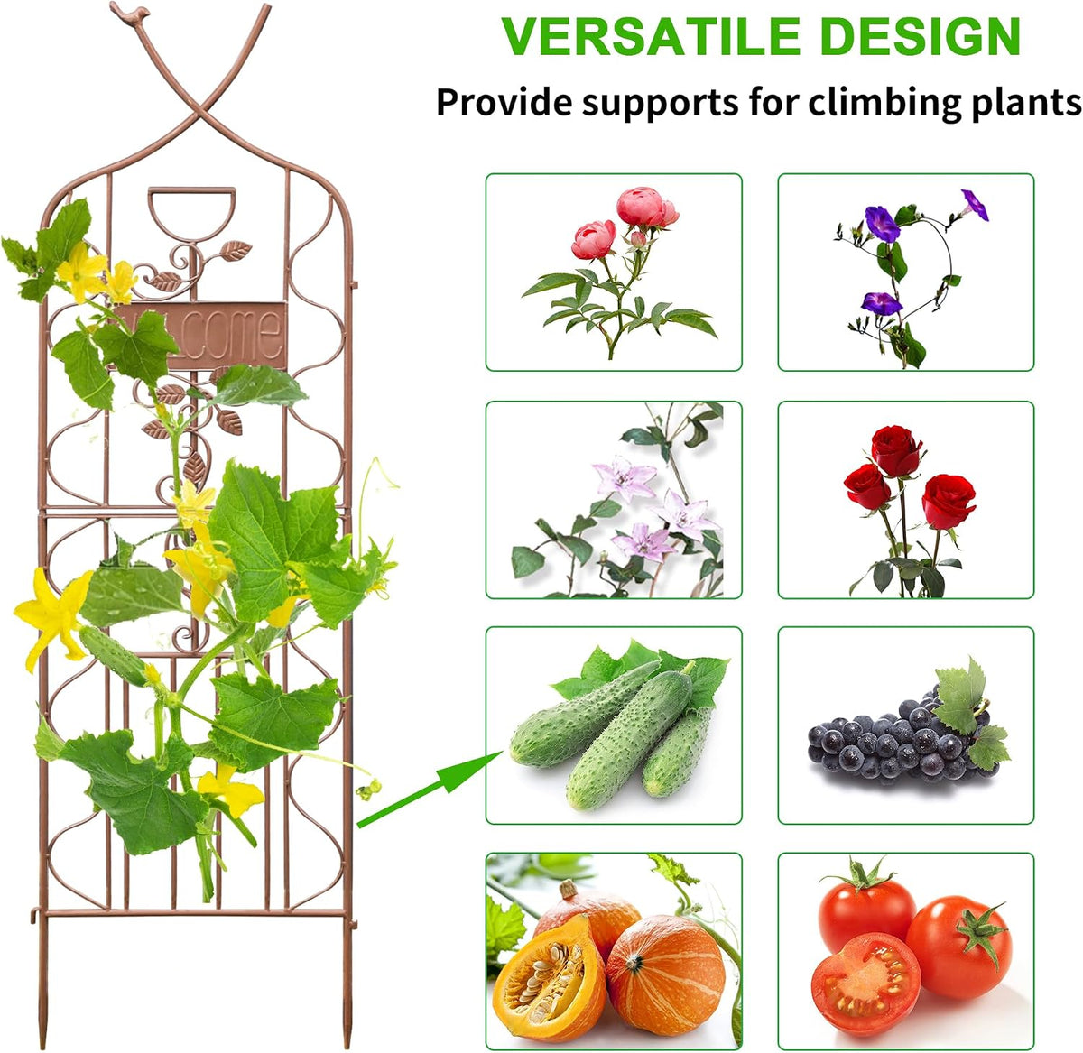 LZRS 71 x 80in Rustic Iron Arch Decoration Garden Trellis with Black Metal Coating – Perfect for Supporting Climbing Plants Outdoor, Roses, Vines, Flowers, and Vegetables.