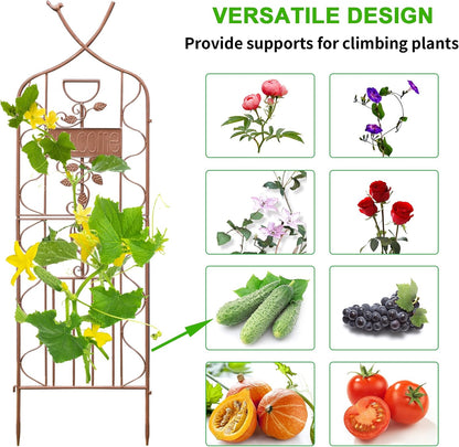 LZRS 71 x 80in Rustic Iron Arch Decoration Garden Trellis with Black Metal Coating – Perfect for Supporting Climbing Plants Outdoor, Roses, Vines, Flowers, and Vegetables.