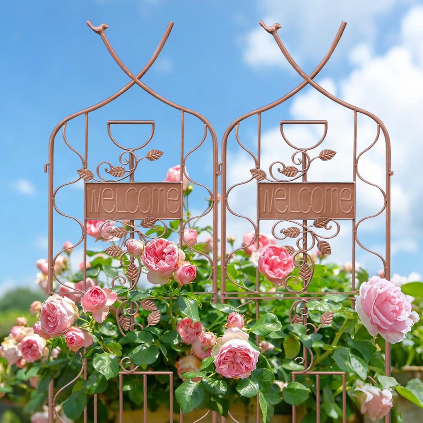 LZRS 71 x 80in Rustic Iron Arch Decoration Garden Trellis with Black Metal Coating – Perfect for Supporting Climbing Plants Outdoor, Roses, Vines, Flowers, and Vegetables.