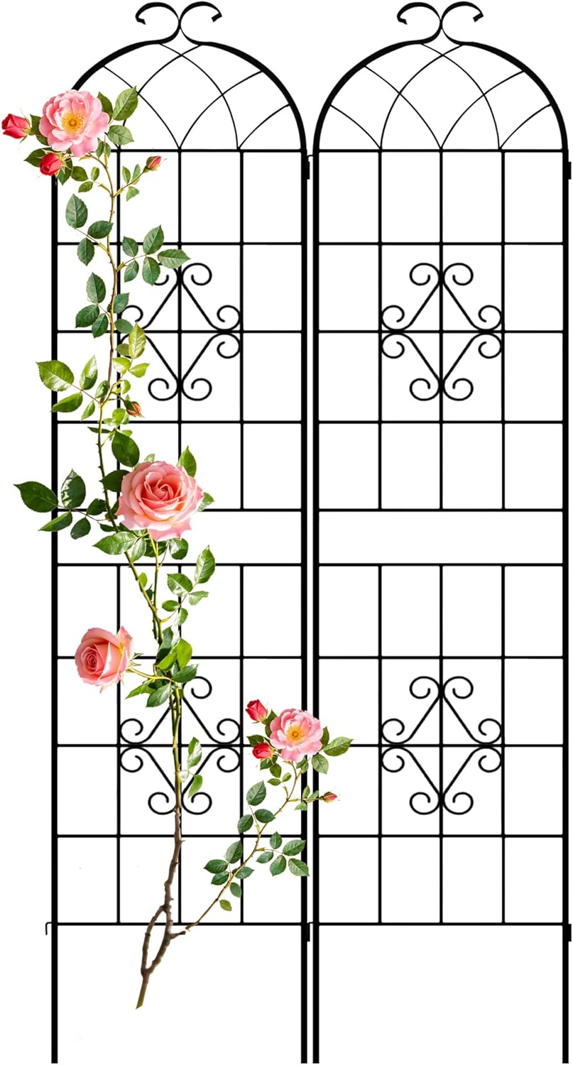 LZRS 71 x 80in Rustic Iron Arch Decoration Garden Trellis with Black Metal Coating – Perfect for Supporting Climbing Plants Outdoor, Roses, Vines, Flowers, and Vegetables.