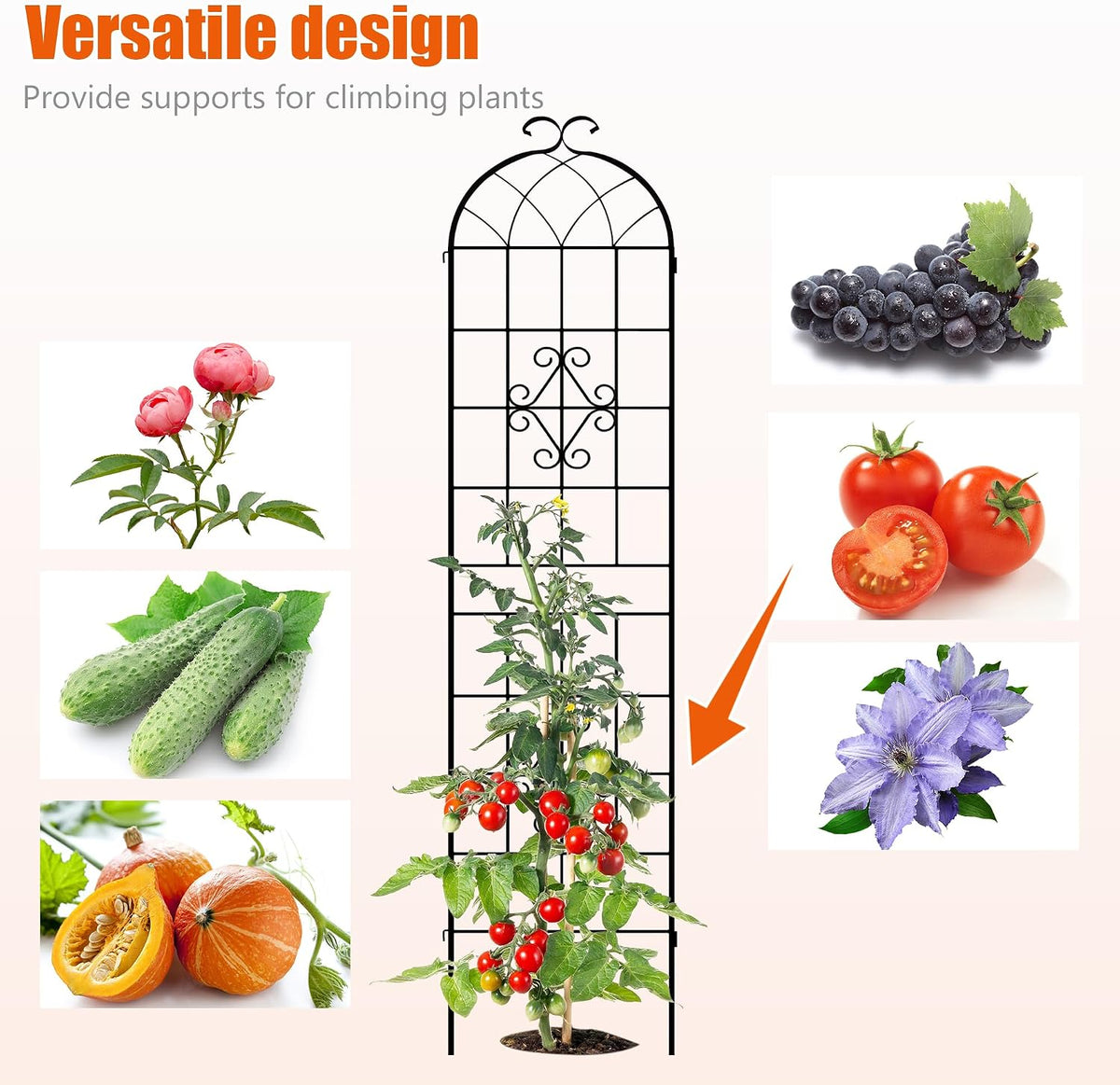 LZRS 71 x 80in Rustic Iron Arch Decoration Garden Trellis with Black Metal Coating – Perfect for Supporting Climbing Plants Outdoor, Roses, Vines, Flowers, and Vegetables.