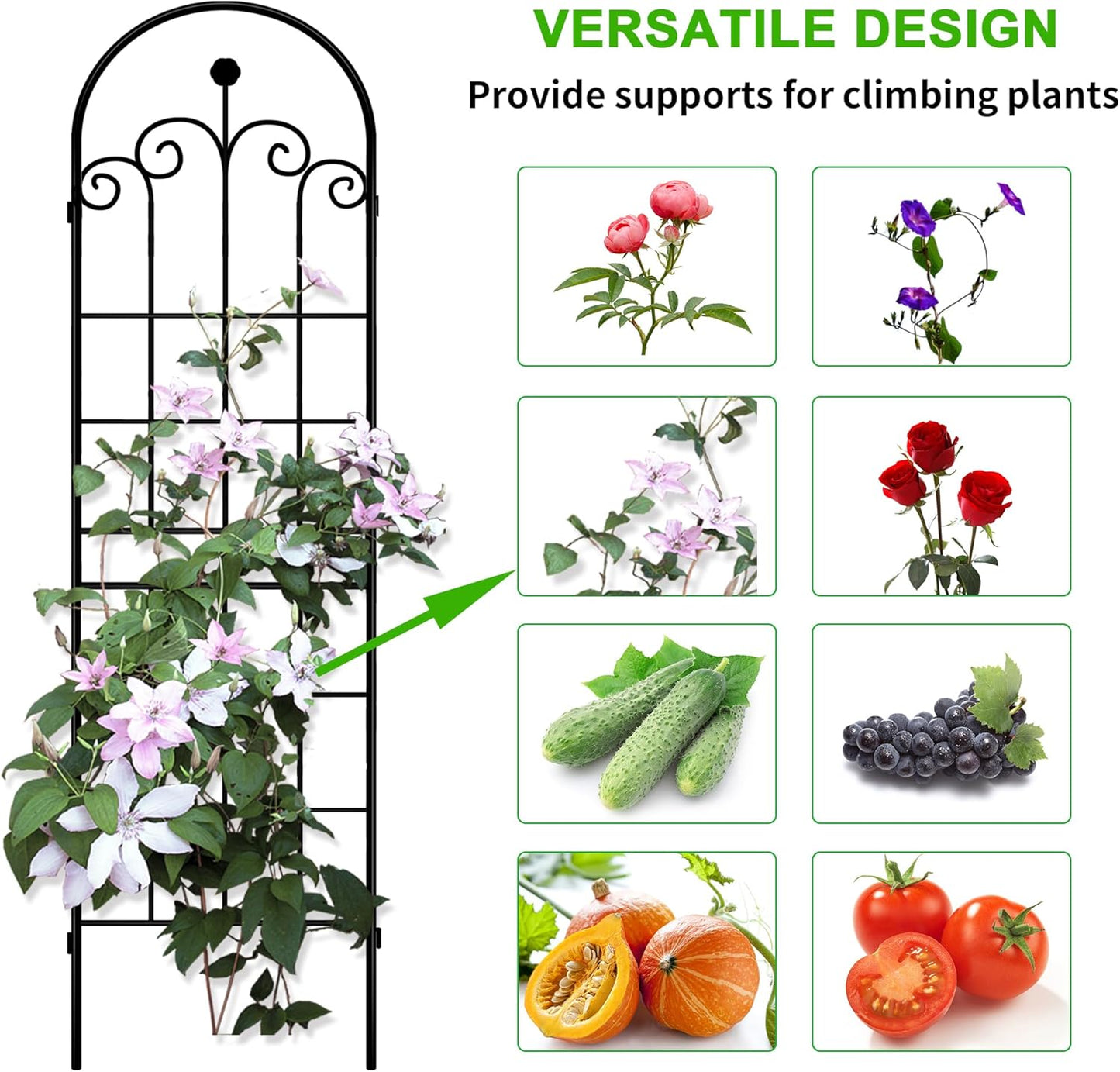 LZRS 71 x 80in Rustic Iron Arch Decoration Garden Trellis with Black Metal Coating – Perfect for Supporting Climbing Plants Outdoor, Roses, Vines, Flowers, and Vegetables.