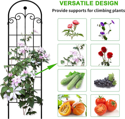 LZRS 71 x 80in Rustic Iron Arch Decoration Garden Trellis with Black Metal Coating – Perfect for Supporting Climbing Plants Outdoor, Roses, Vines, Flowers, and Vegetables.