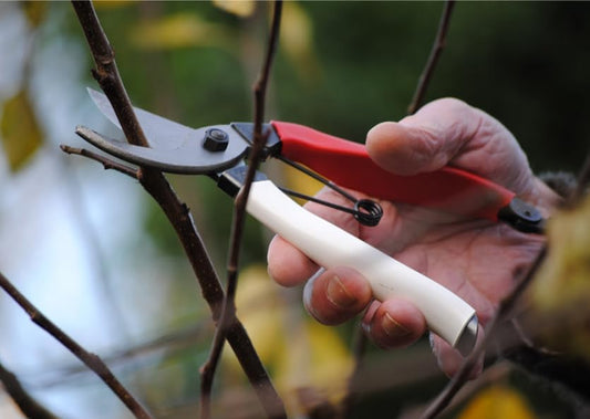 103 Bypass Pruners General Purpose Medium (One Pack)