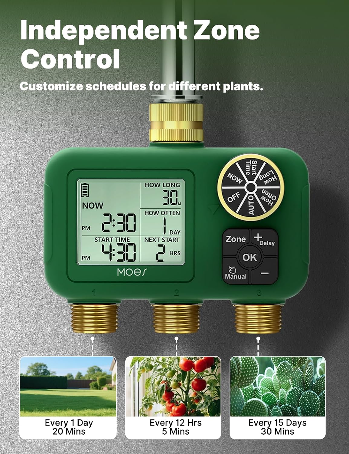 2 Zone Water Timer, Brass Fittings, Rain Delay, No Wi-Fi Required