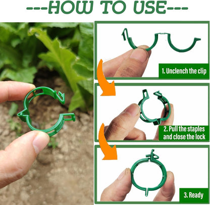 100pcs Plant Support Clips - Tomato Clips for String Trellis, Grape Vine Clips for Garden Netting Climbing Plants, Secured Plastic Plant Clip for Fixing Stem and Vine (100, Green)