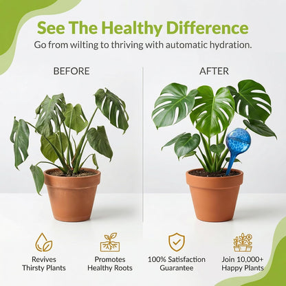 Plant Watering Globes 4 Pack – Self Watering Bulbs, Indoor & Outdoor Plants