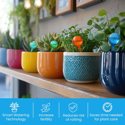 Plant Watering Globes 4 Pack – Self Watering Bulbs, Indoor & Outdoor Plants