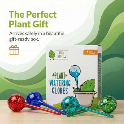 Plant Watering Globes 4 Pack – Self Watering Bulbs, Indoor & Outdoor Plants