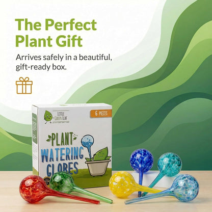 Plant Watering Globes 4 Pack – Self Watering Bulbs, Indoor & Outdoor Plants
