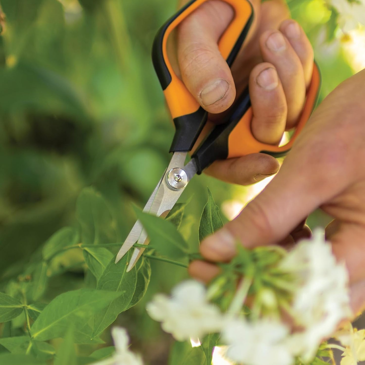 6" Steel Micro-Tip Pruning Scissors, Garden Snips for Small Plants