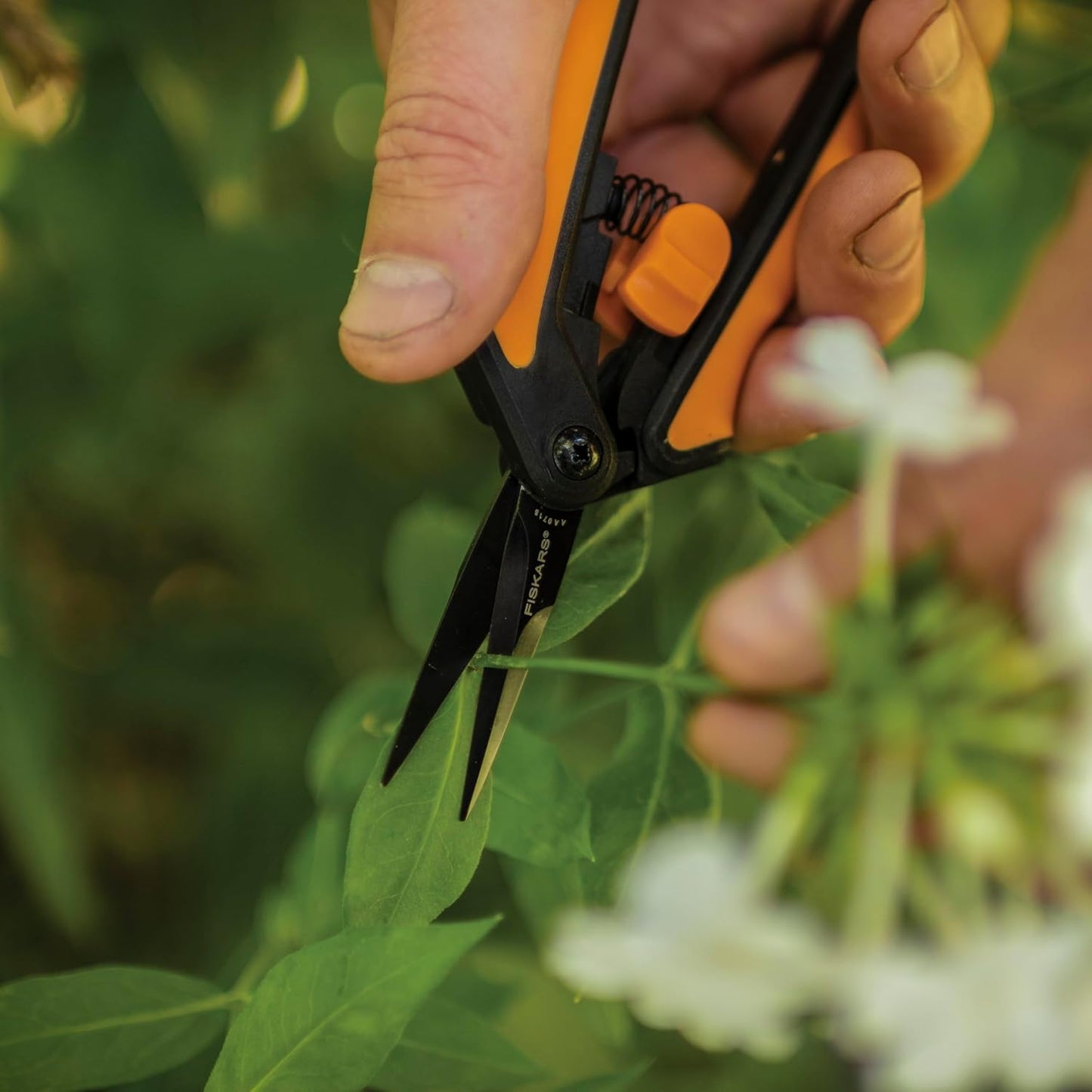 6" Steel Micro-Tip Pruning Scissors, Garden Snips for Small Plants