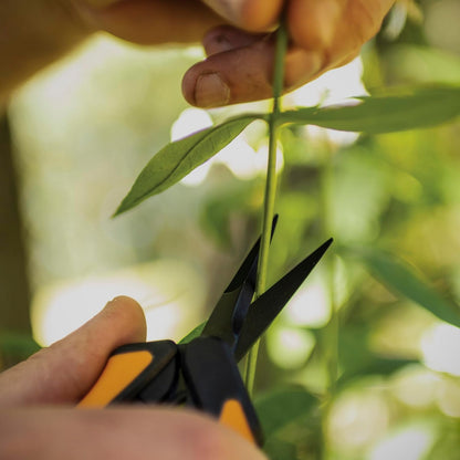 6" Steel Micro-Tip Pruning Scissors, Garden Snips for Small Plants