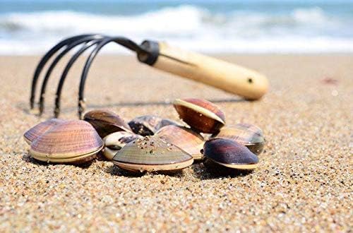 Claw Rake with Mesh Net, 15 Inch Japanese Hand Rake, 5-Tine Ninja Steel Clamming Claws, Long Handled Shell Clam Digger, Dig Seafood Accessories with Flat Cowhide Rope, Lightweight, Sturdy, Compact