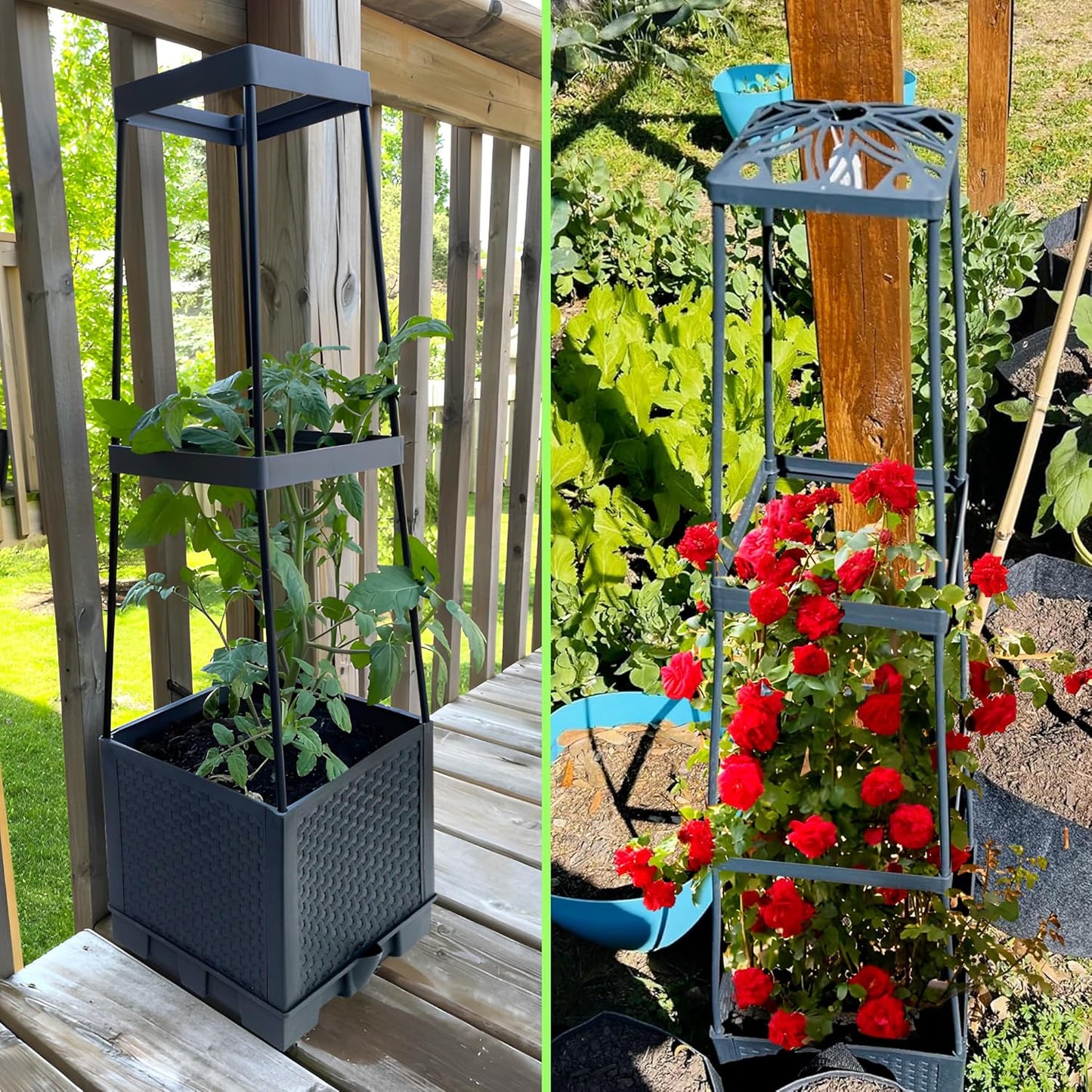 2 Packs Raised Garden Bed Tomato Planter Box with Trellis,44.8" Self-Watering Tomato Cage with Trapezoidal Trellis for Climbing Plants Flowers Vegetables Vine in Patio Garden Indoor Outdoor