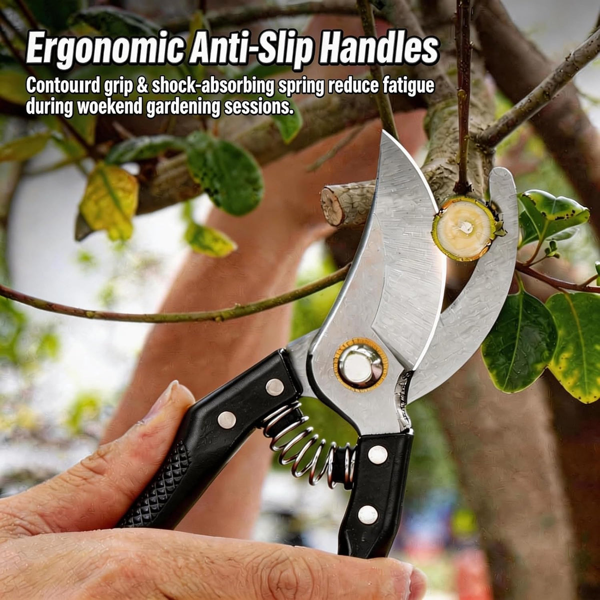 Garden Pruning Shears, Heavy Duty Stainless Steel Gardening Scissors for Plants, Sharp Handhled Trimmers, Bypass Blade Pruner for Branch, Hedge, Shrub, Flowers or Bonsai, Gardening Tool (Black)