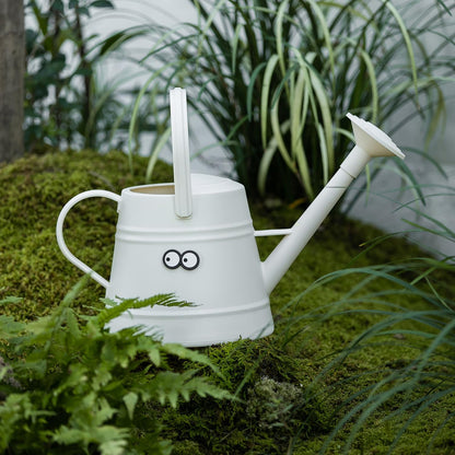 1 Gallon Watering Can for Plants