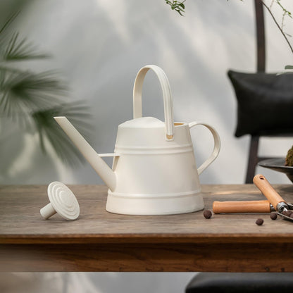 1 Gallon Watering Can for Plants